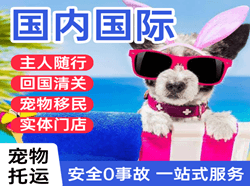 临汾航空托运国际宠物托运 【国